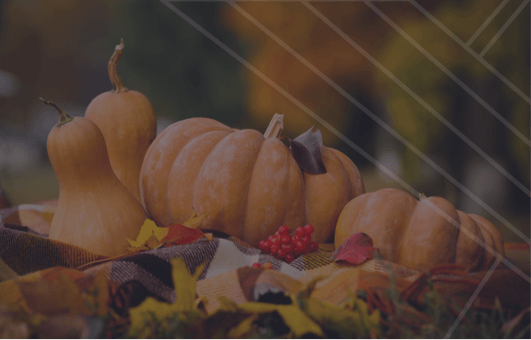 Two butternut squash and two pumpkins sit on a plaid blanket with leaves and berries decoratively placed around it. The Erin Acton Coaching mark - a geometric bird - overlays the far right corner.